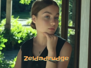 Zeldadrudge